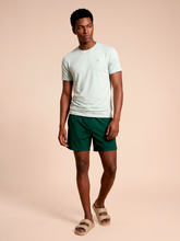 Laad de afbeelding in de Gallery-viewer, Model Front: Uv Line T-Shirt For Men T-Shirt Uvpro Masc Light Green Upf50+
